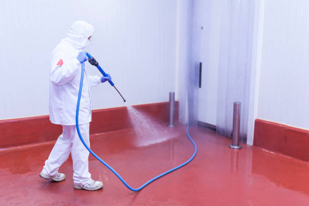 Best Gutter Cleaning and Brightening in Essex, IL
